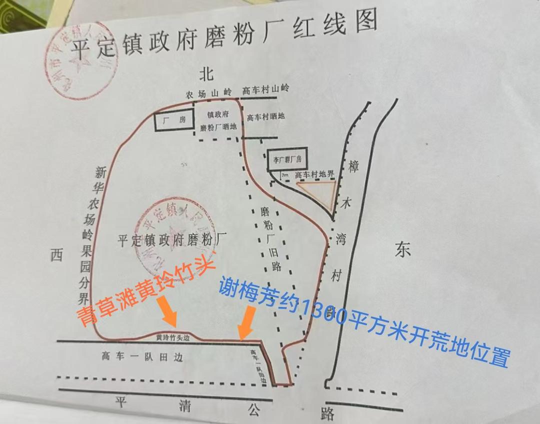 图片[4]-化州“开荒林地权属之争”： 45年果树遭强砍背后土地确权迷局-华闻时空