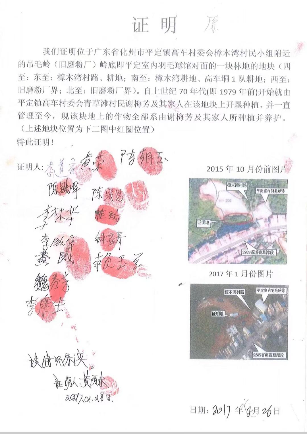 图片[7]-化州“开荒林地权属之争”： 45年果树遭强砍背后土地确权迷局-华闻时空