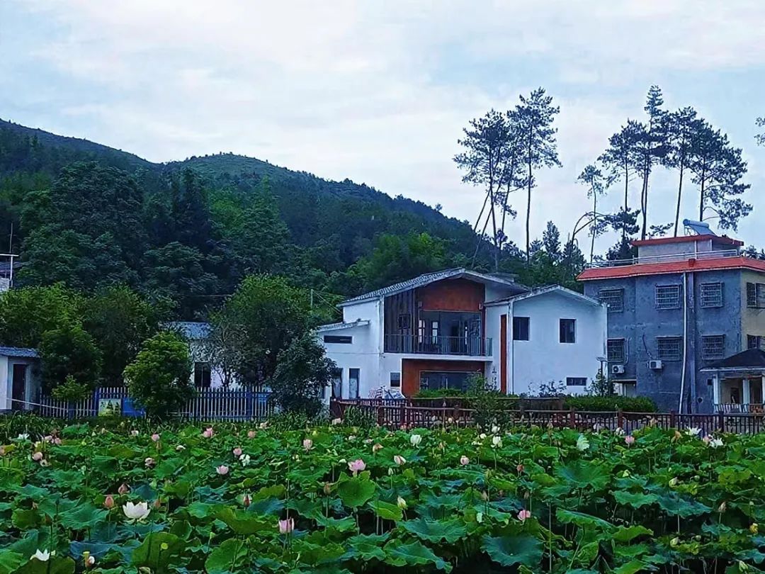 图片[23]-2025乡村振兴暨第三届“陈国胜文学奖”颁奖礼圆满举行-华闻时空