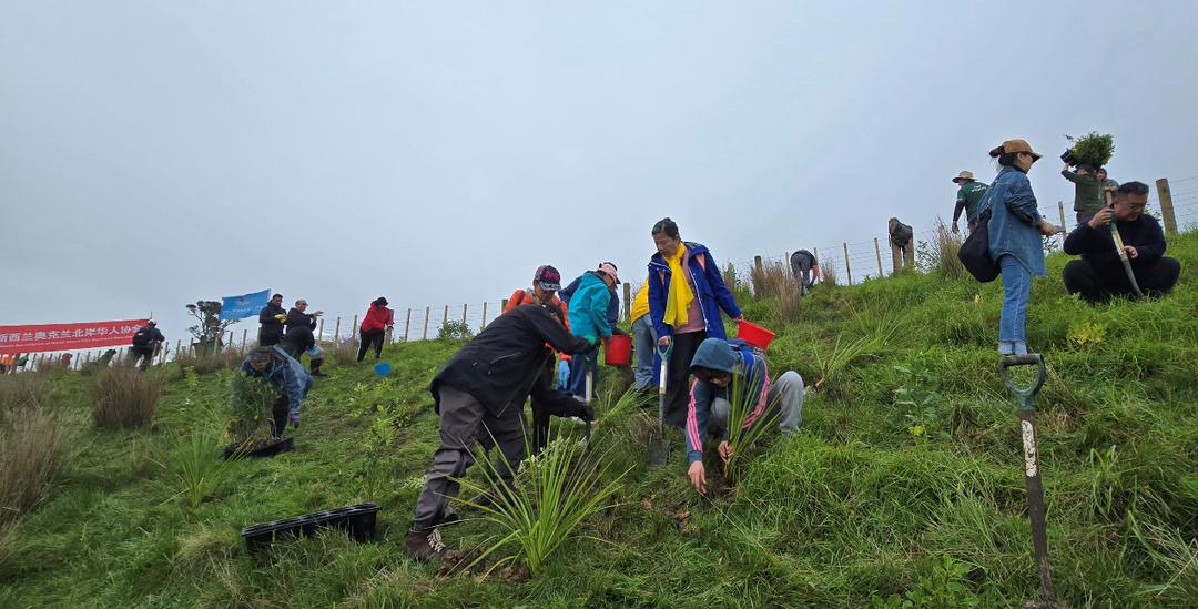 一群人站在草地上

AI 生成的内容可能不正确。