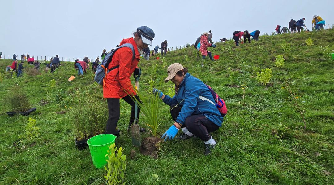 穿绿色衣服的小孩在草地上

AI 生成的内容可能不正确。
