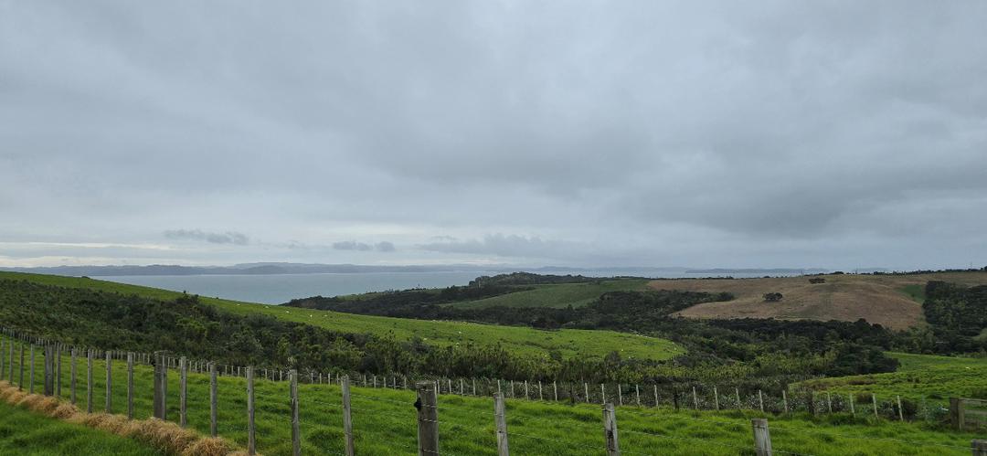草地上的马

AI 生成的内容可能不正确。