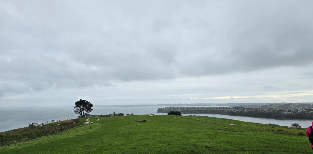 草地上有许多云

AI 生成的内容可能不正确。