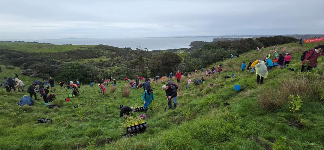 人们在草地上

AI 生成的内容可能不正确。