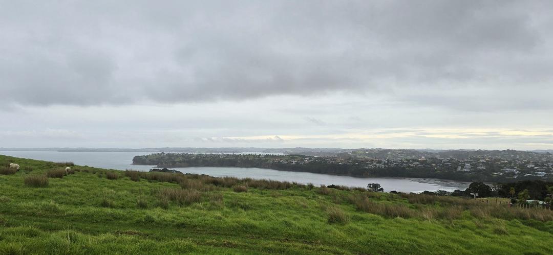 草地上有许多云

AI 生成的内容可能不正确。