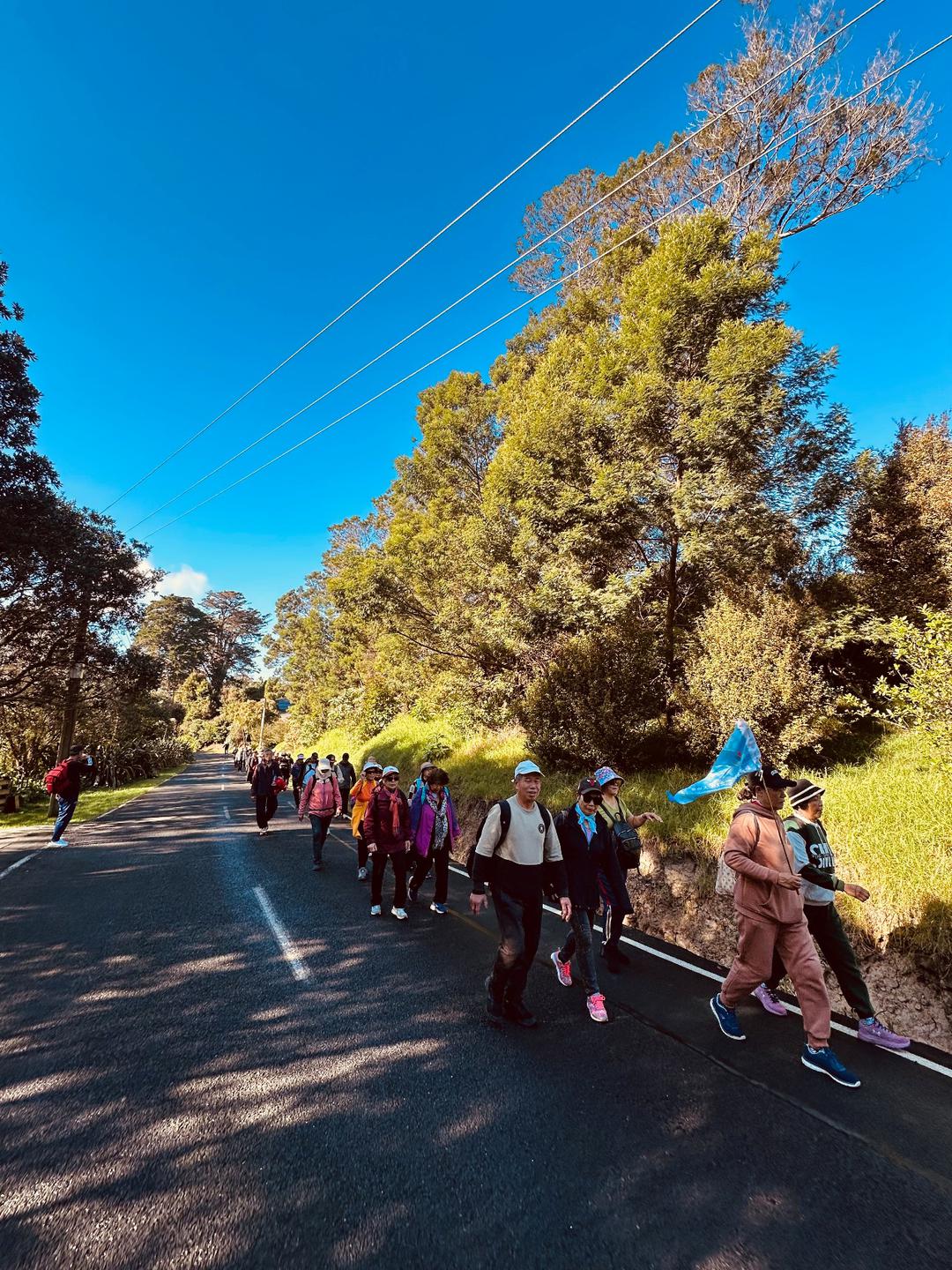 ä¸€ç¾¤äººåœ¨æ ‘æ�—é—´çš„å°�è·¯

AI ç”Ÿæˆ�çš„å†…å®¹å�¯èƒ½ä¸�æ­£ç¡®ã€‚