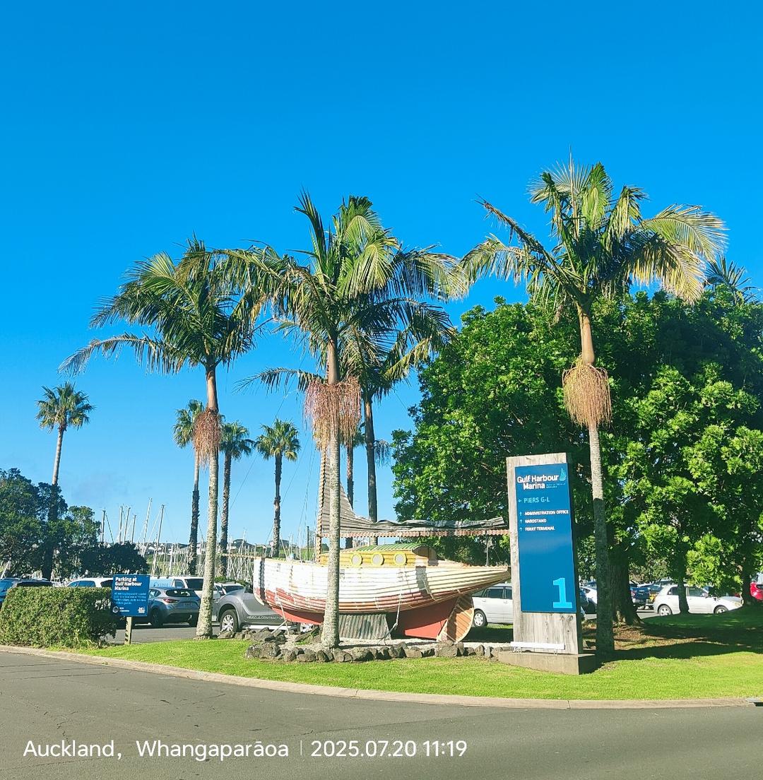 æ£•æ¦ˆæ ‘å’Œæˆ¿å­�

AI ç”Ÿæˆ�çš„å†…å®¹å�¯èƒ½ä¸�æ­£ç¡®ã€‚