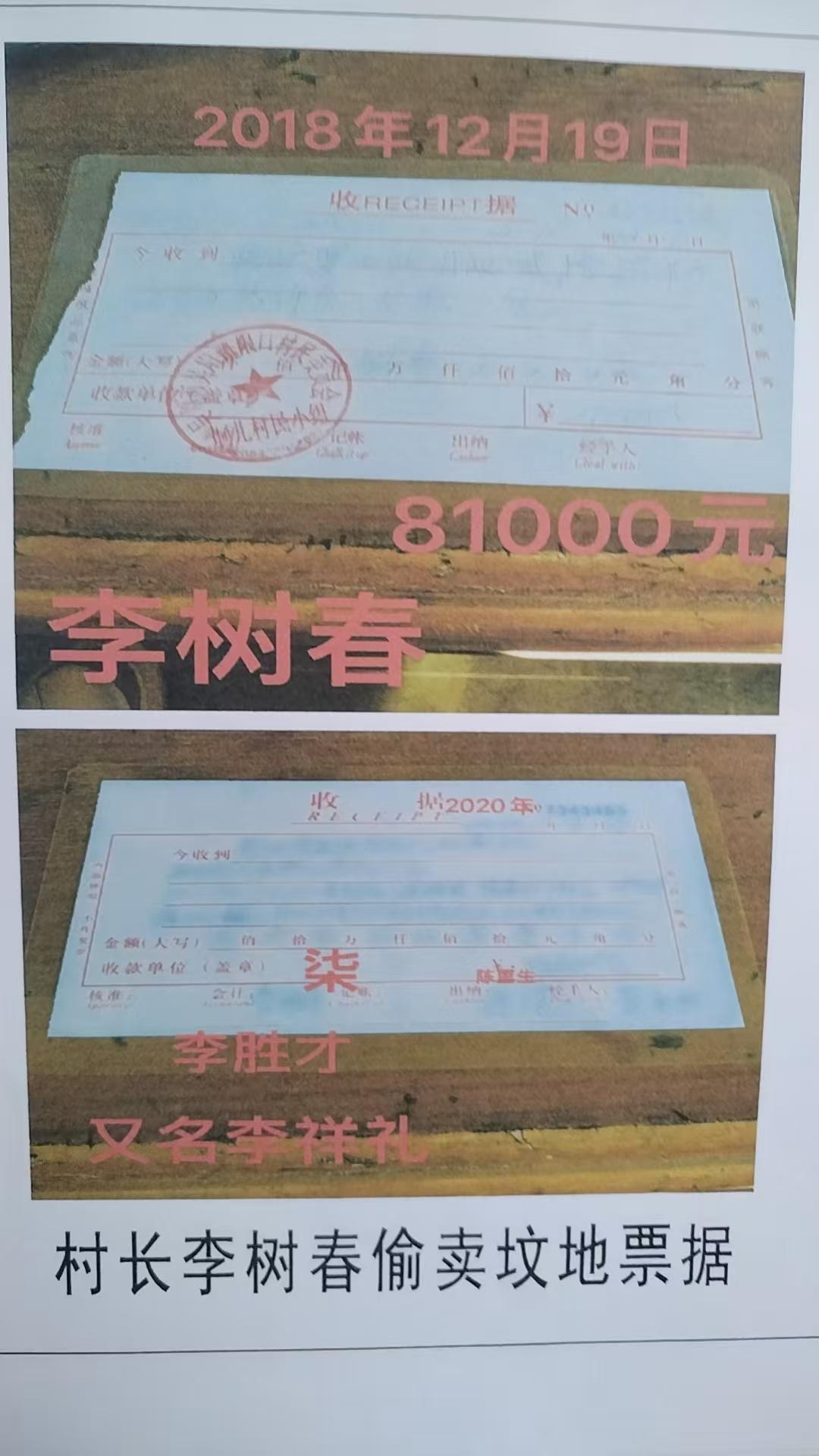 图片[2]-村官违建神庙与村民166天冤狱： 吴川垌儿村“神庙”事件调查-华闻时空