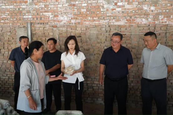 榆阳区人大常委会调研我区食用菌产业发展情况