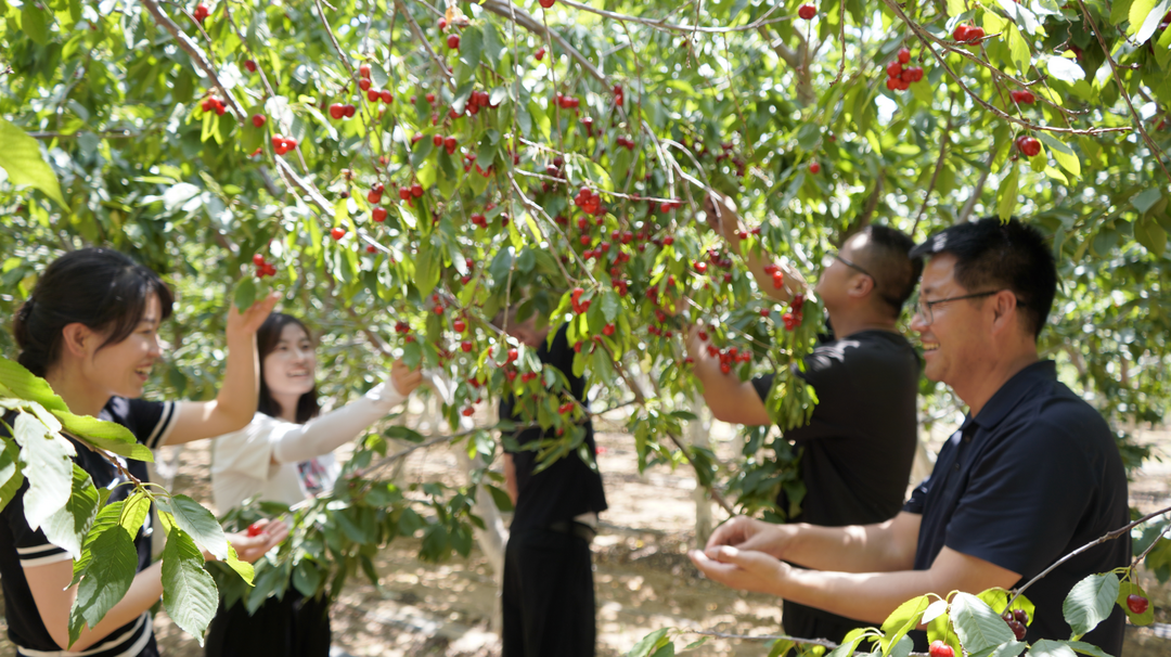 靖边公安:希望的田野上“警”色宜人 靖边公安:希望的田野上“警”色宜人