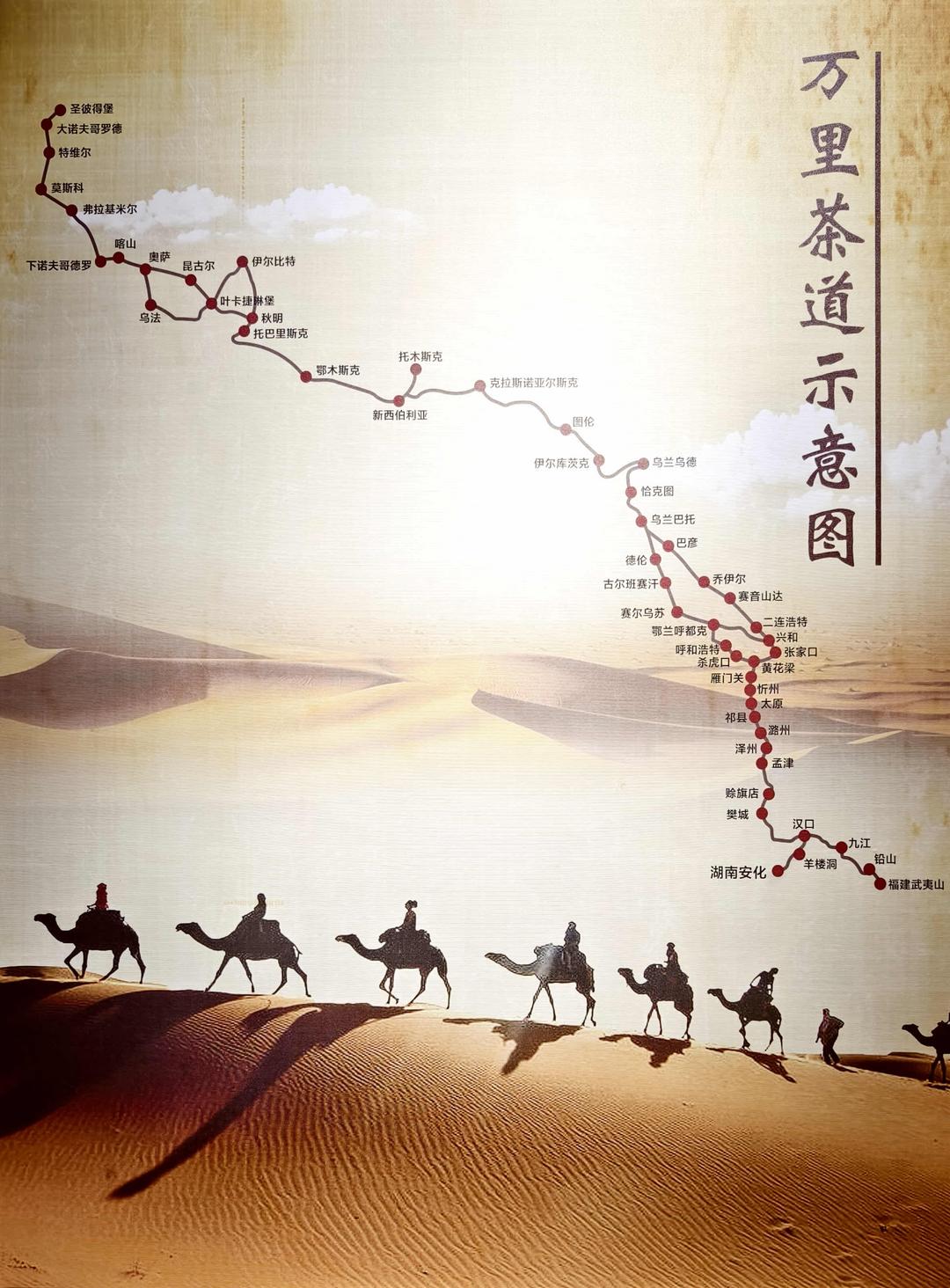 图片[7]-追梦中华华媒湖南行探访安化黑茶文化 千年茶香飘向世界-华闻时空