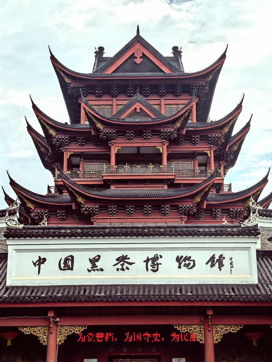 追梦中华华媒湖南行探访安化黑茶文化 千年茶香飘向世界-华闻时空