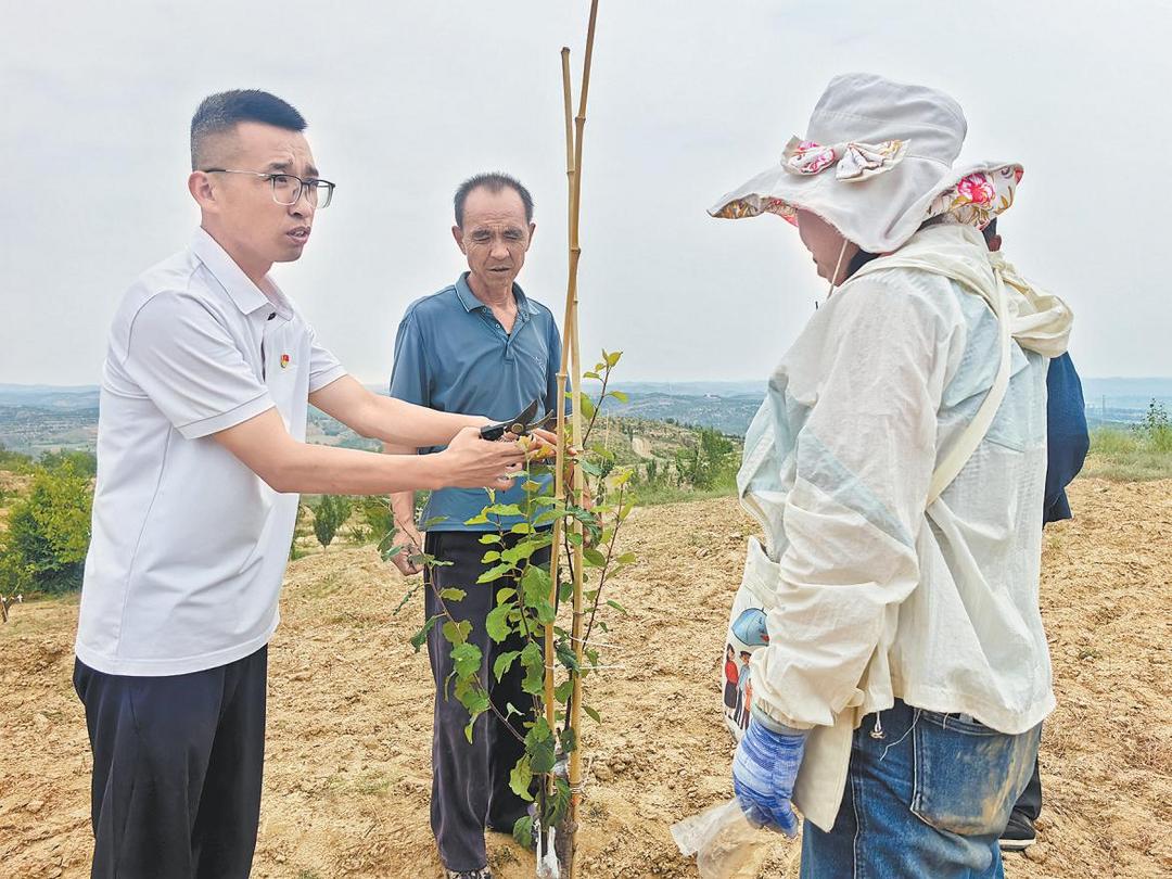 榆阳区岔上村第一书记尹华飞：扎根乡土绘蓝图 心系群众暖民心