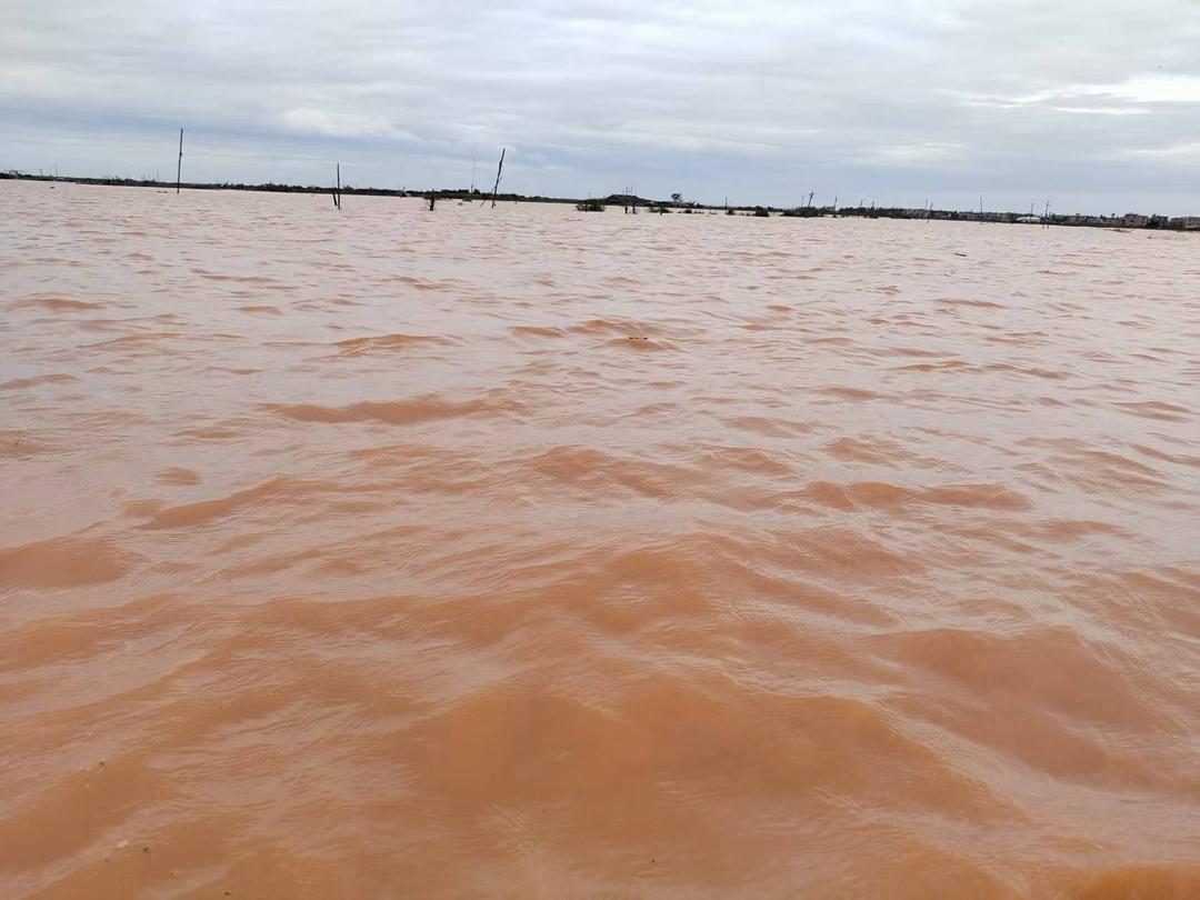 图片[6]-特稿：台风“韦帕”掠过，雷州余庆桥水库“沉默的闸门”-华闻时空