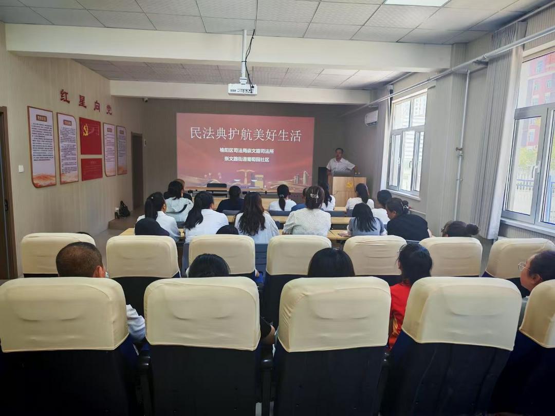 崇文路街道葡萄园社区开展“民法典护航美好生活”普法宣传 以实例解读婚姻家庭新规