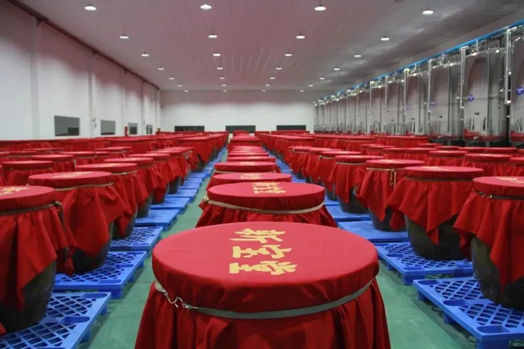 图片[39]-新宝堂发布5款养生新品，陈柏忠：推动“澳门制造”走向世界-华闻时空