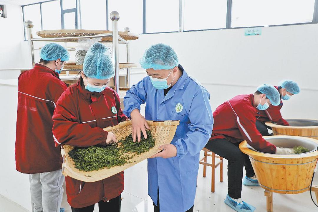 清涧职教中心打造产教融合新范式 助力县域经济高质量发展