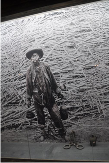 陈颂原：致公党的早期道路回探 见证华侨与祖国休戚与共-华闻时空