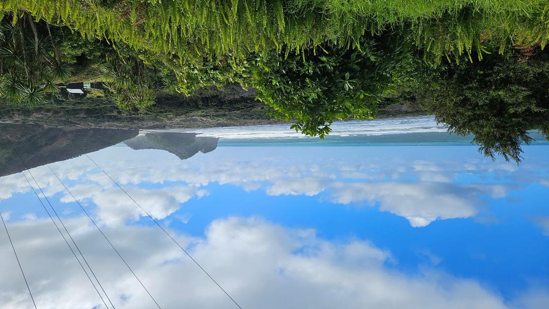 水中的树

AI 生成的内容可能不正确。