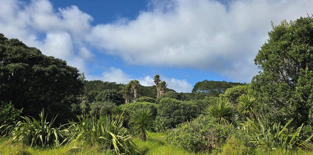 草地上有许多树

AI 生成的内容可能不正确。
