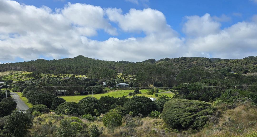 草地上有许多树

AI 生成的内容可能不正确。