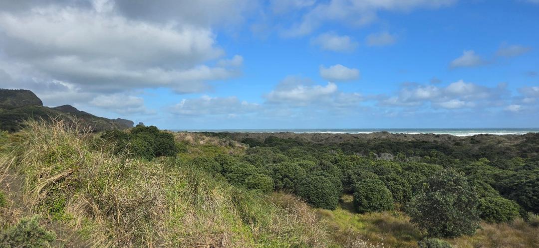 草地上有树

AI 生成的内容可能不正确。
