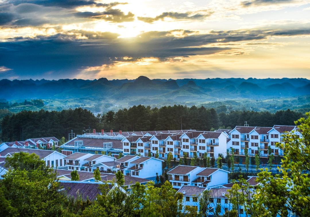 17551976276544.JPG DSC_1684.JPG