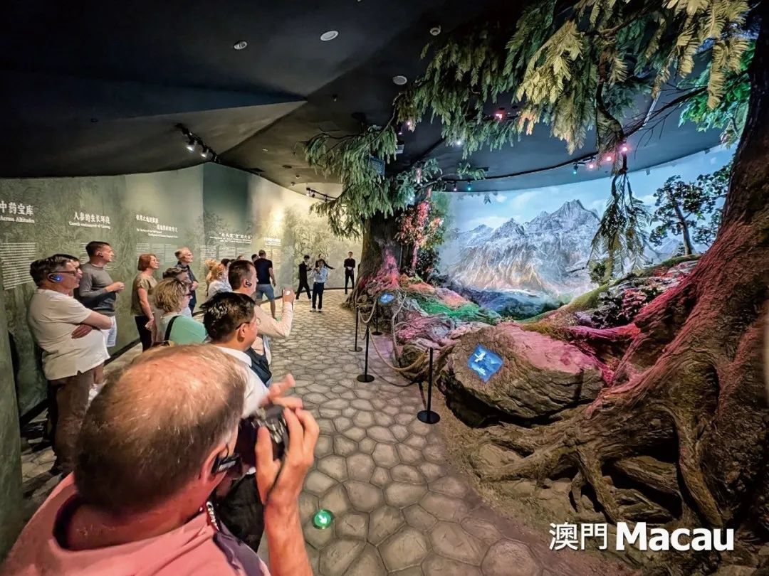 图片[16]-文綺華：新政促粵澳間交流，催生新模式，帶動短途旅遊熱潮-华闻时空