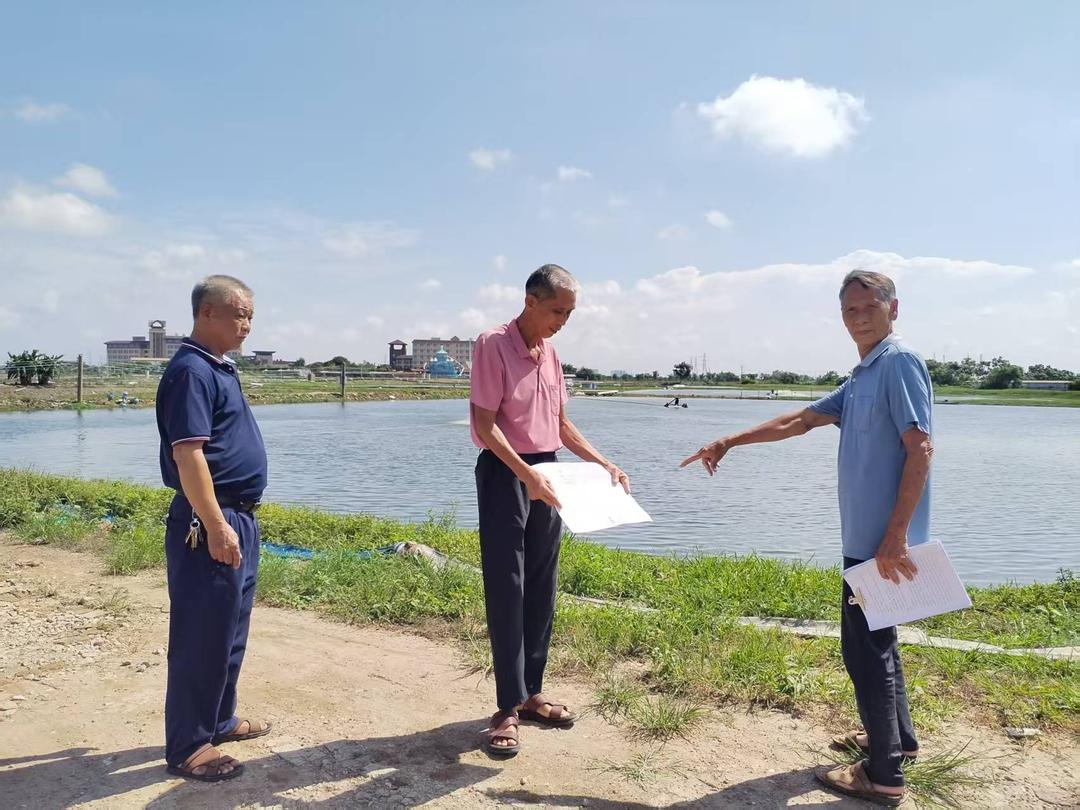 图片[3]-广东吴川45亩土地权属迷局调查：赢了官司却拿不回地-华闻时空