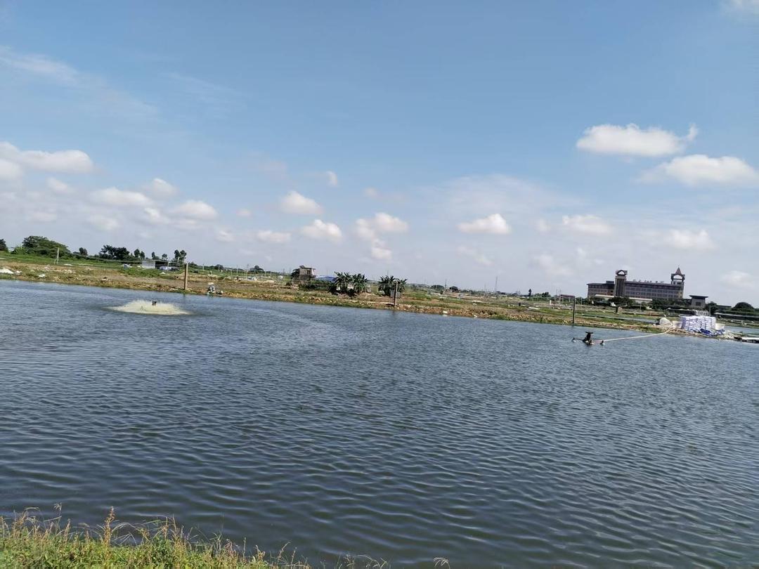 图片[4]-广东吴川45亩土地权属迷局调查：赢了官司却拿不回地-华闻时空