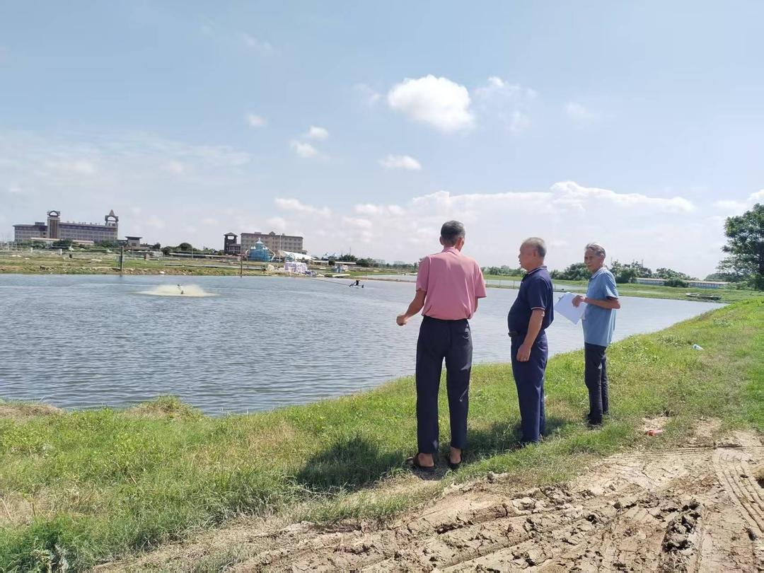 图片[5]-广东吴川45亩土地权属迷局调查：赢了官司却拿不回地-华闻时空