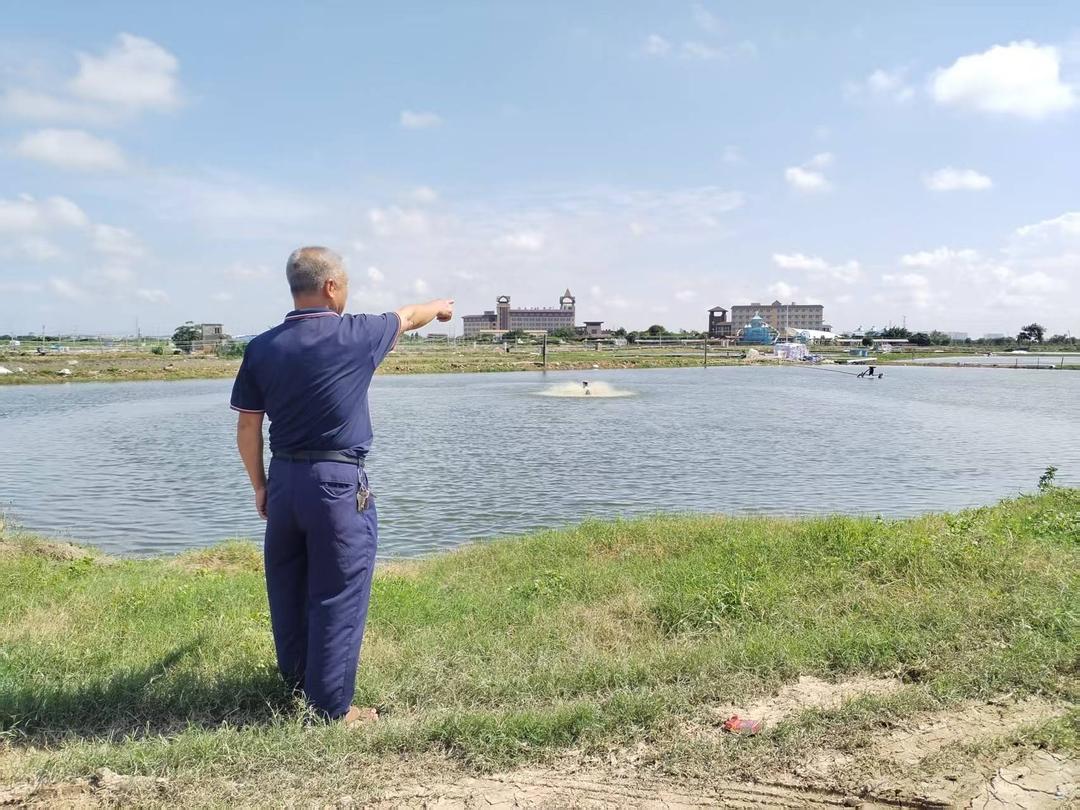 图片[2]-广东吴川45亩土地权属迷局调查：赢了官司却拿不回地-华闻时空