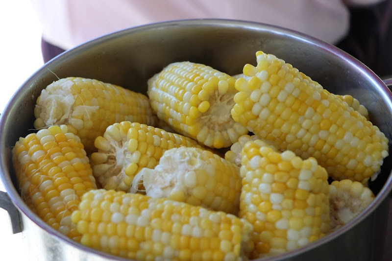 A bowl of corn on the cobAI-generated content may be incorrect.