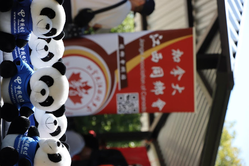 A group of stuffed pandasAI-generated content may be incorrect.