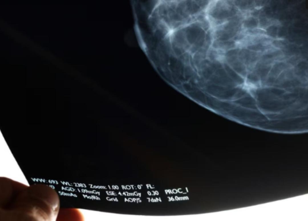 标签： 行为艺术- 美国续航教育, image size:1080x774