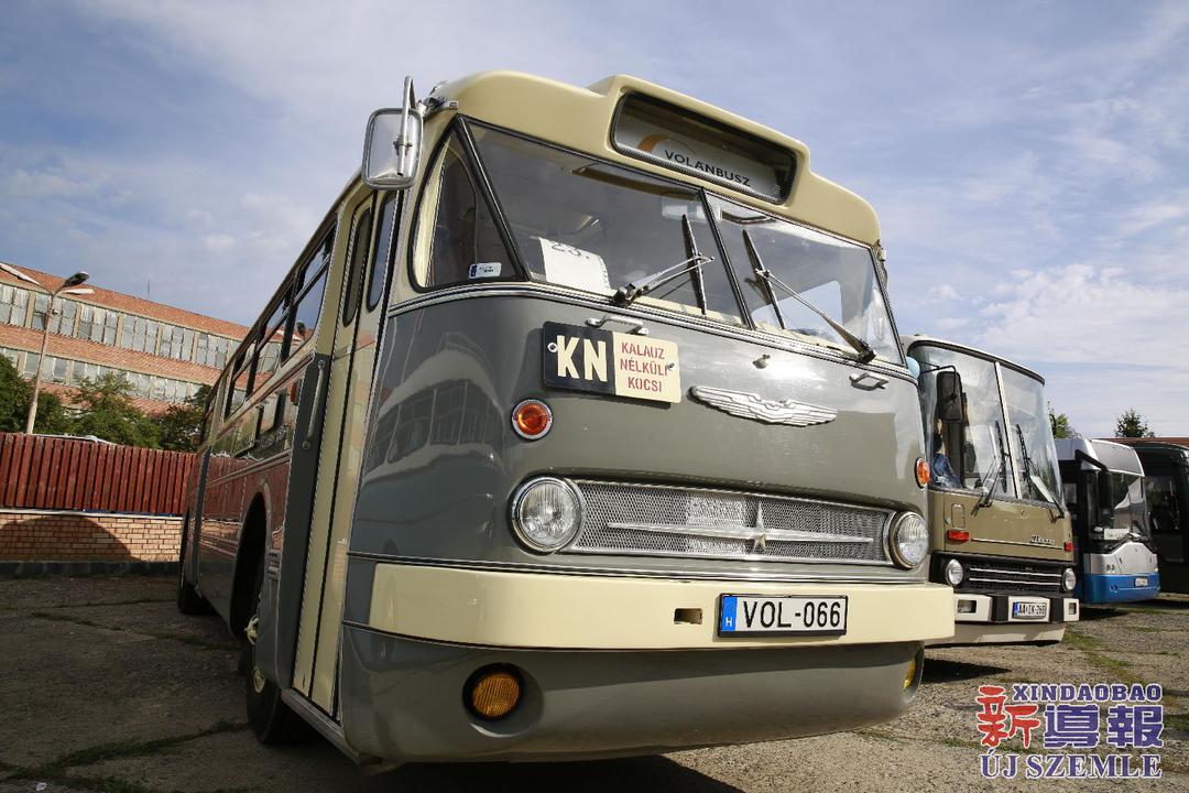 纪念日活动在布达佩斯第十六区匈牙利欧侨科技