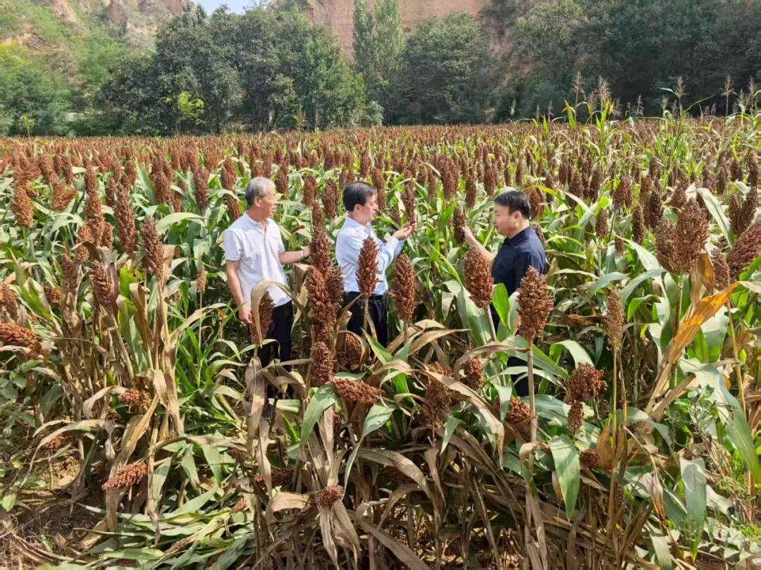 全国拥军模范王友民走进<a href=https://www.shidiannet.com/zt/shaanxi/ target=_blank class=infotextkey>陕西</a>白水杜康 宣讲九三阅兵精神