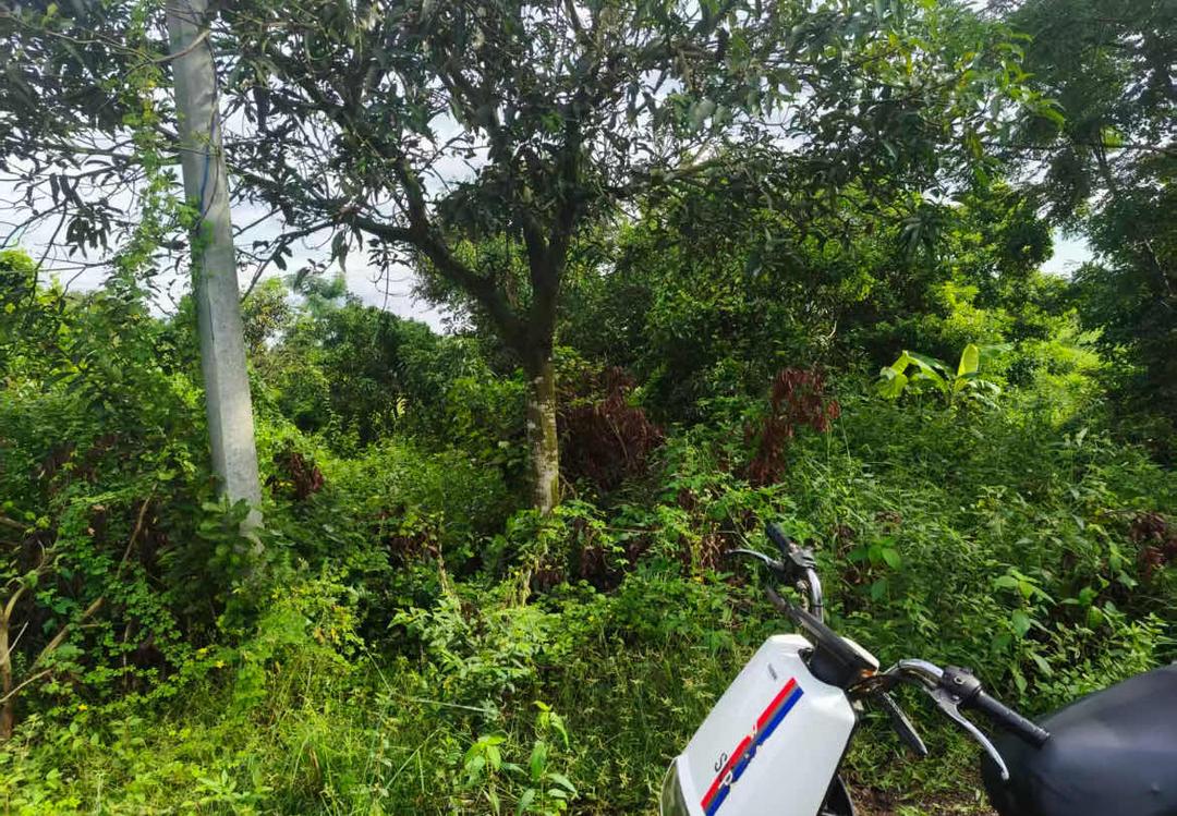 图片[15]-来函选登：关于覃斗镇铺前村村民委员会违规处置村集体土地举报信-华闻时空