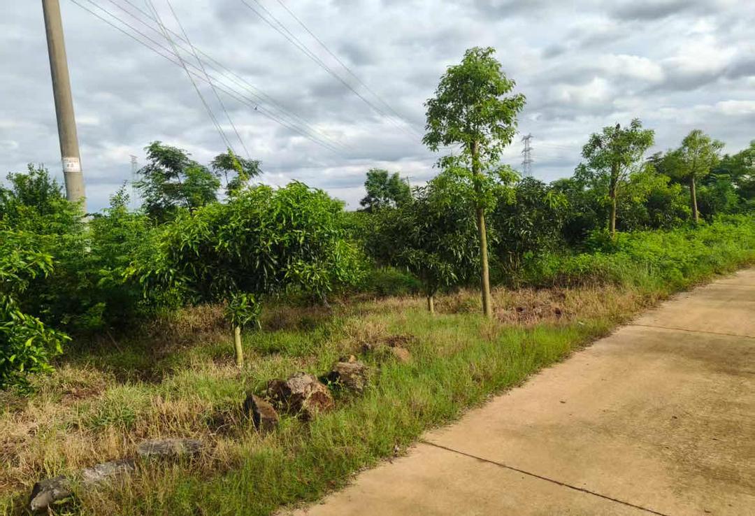 图片[12]-来函选登：关于覃斗镇铺前村村民委员会违规处置村集体土地举报信-华闻时空