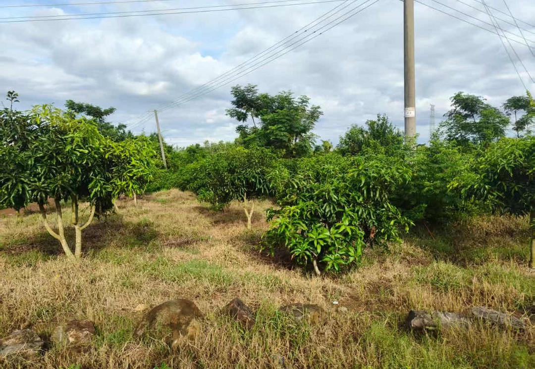 图片[13]-来函选登：关于覃斗镇铺前村村民委员会违规处置村集体土地举报信-华闻时空