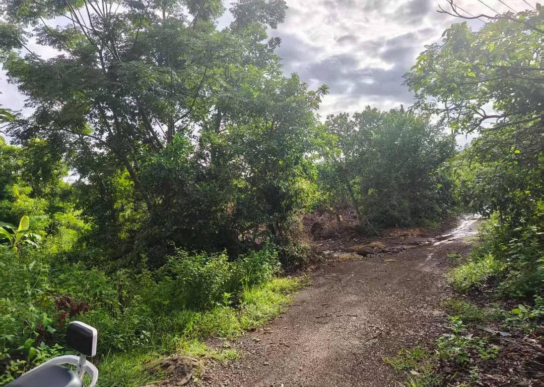 图片[14]-来函选登：关于覃斗镇铺前村村民委员会违规处置村集体土地举报信-华闻时空