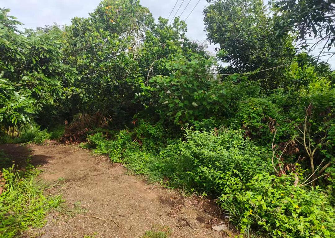 图片[16]-来函选登：关于覃斗镇铺前村村民委员会违规处置村集体土地举报信-华闻时空