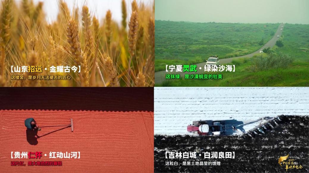 微信图片_2025-09-05_112926_604