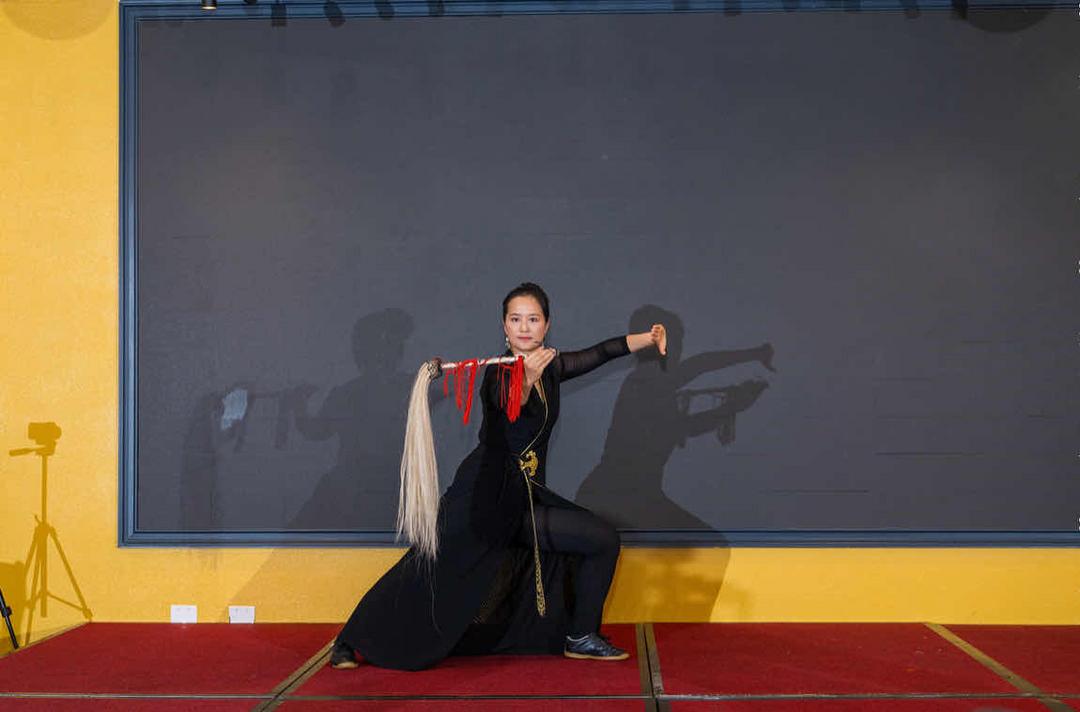 图片[3]-吴阿敏“太极之气”慈善晚会在密尔布瑞圆满举行-华闻时空