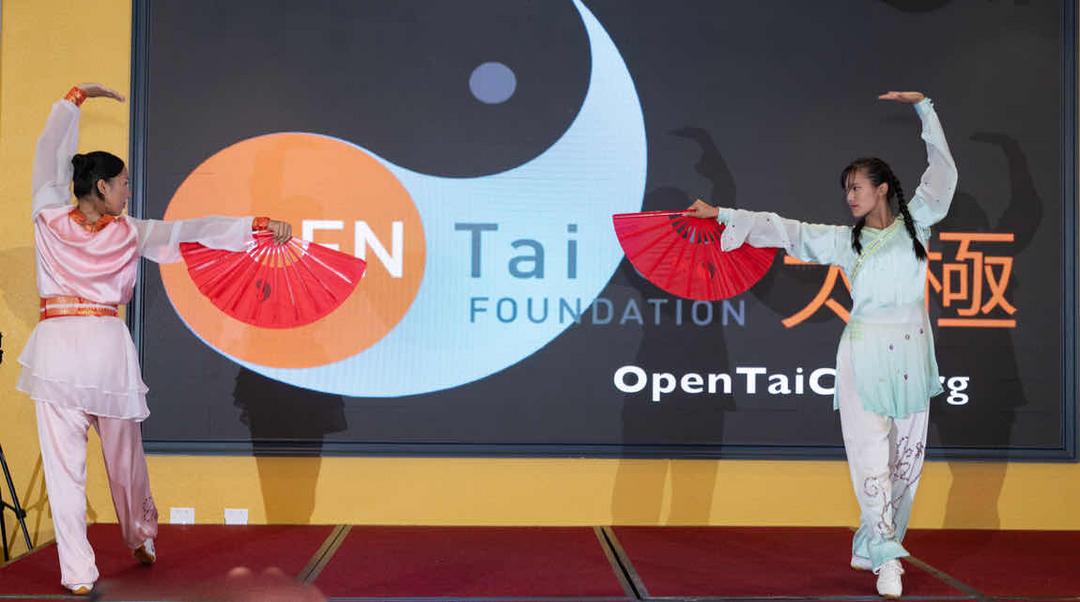 图片[4]-吴阿敏“太极之气”慈善晚会在密尔布瑞圆满举行-华闻时空