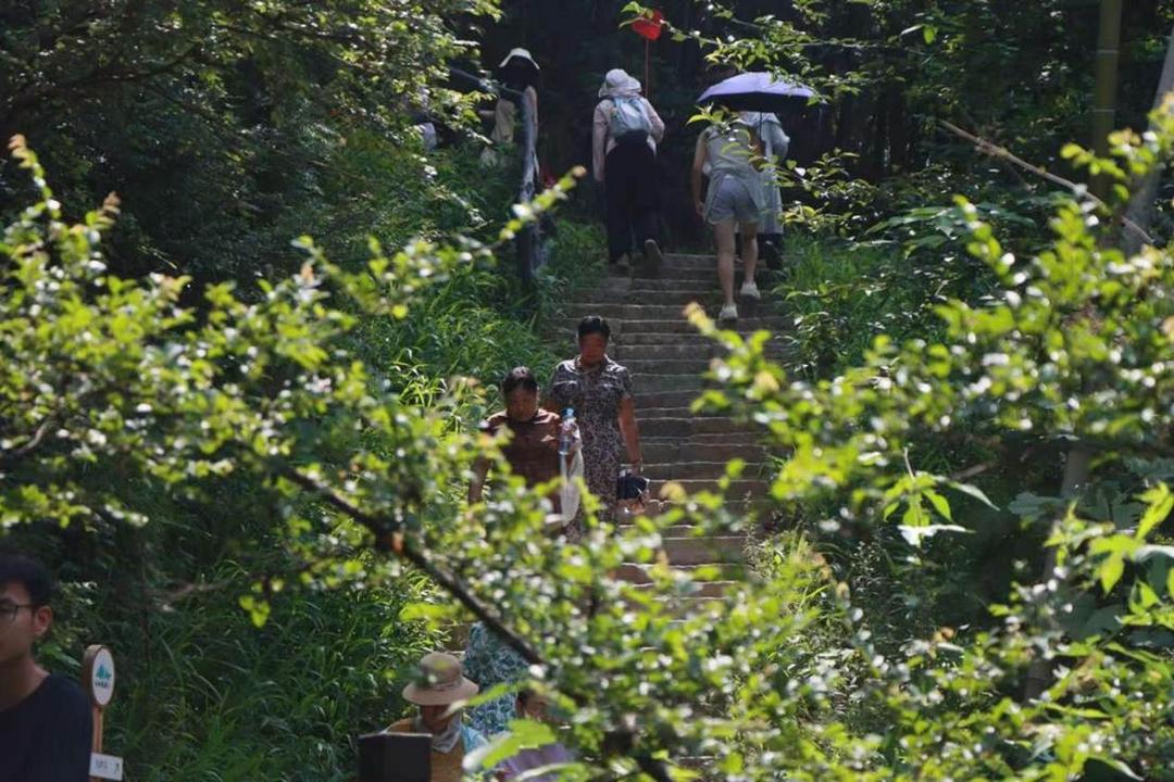 a40910addce51e6a98bc32790fcf5431