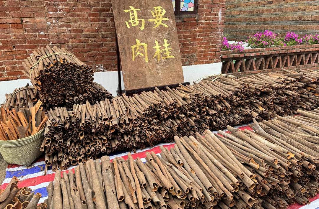 7aaf9fd4c5e1ca0b503277d302a5d814