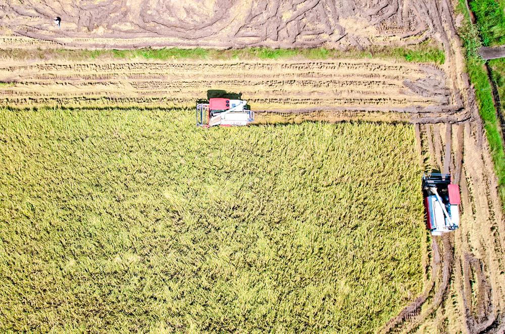 202510/142112137604531.jpg 202510/142112137604531.jpg