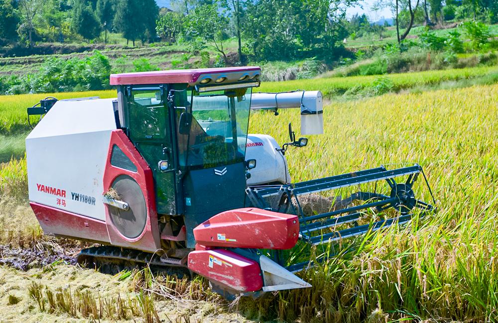 202510/142112129634953.jpg 202510/142112129634953.jpg