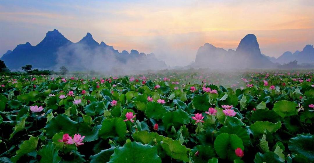 微信图片_20251019141648_141_1775